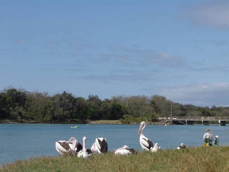 5/7 Hampton Court, Pottsville NSW 2489