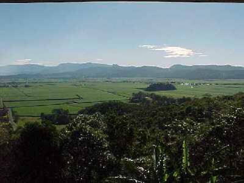 Farrants Hill NSW 2484