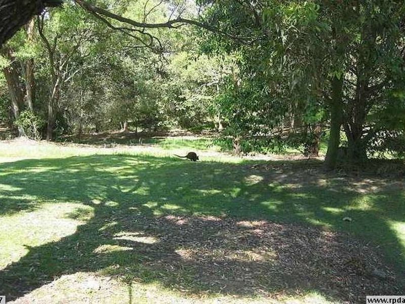 33 Sassafras Street, Pottsville NSW 2489