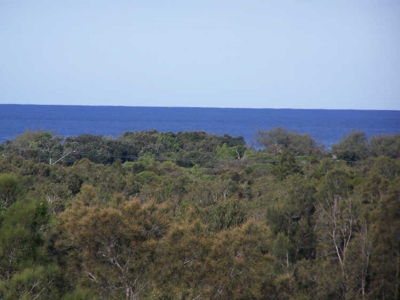 8/Lot 206 Roseash Court, Hastings Point NSW 2489