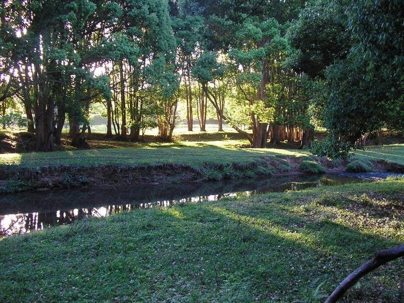 50 Greenvale Court, Burringbar NSW 2483