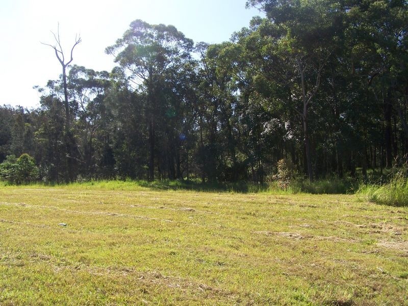Lot 635 Lomandra Avenue, Hastings Point NSW 2489