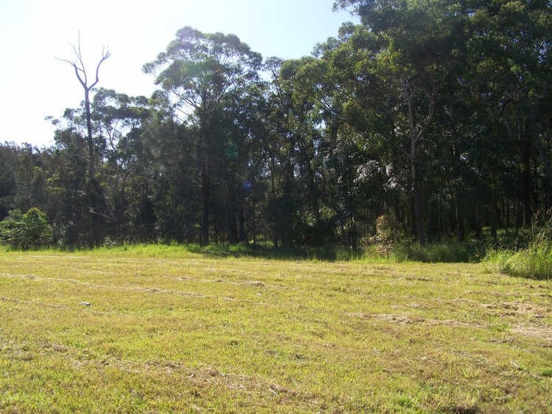 Lot 635 Lomandra Avenue, Hastings Point NSW 2489