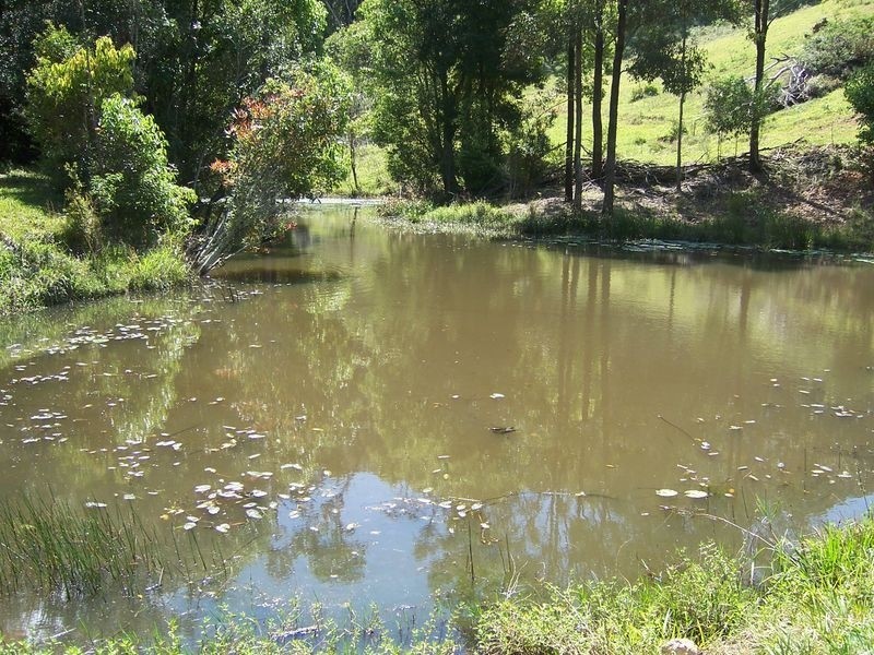 224 Sleepy Hollow Road, Mooball NSW 2483