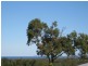 5 Melia Close, Pottsville NSW 2489