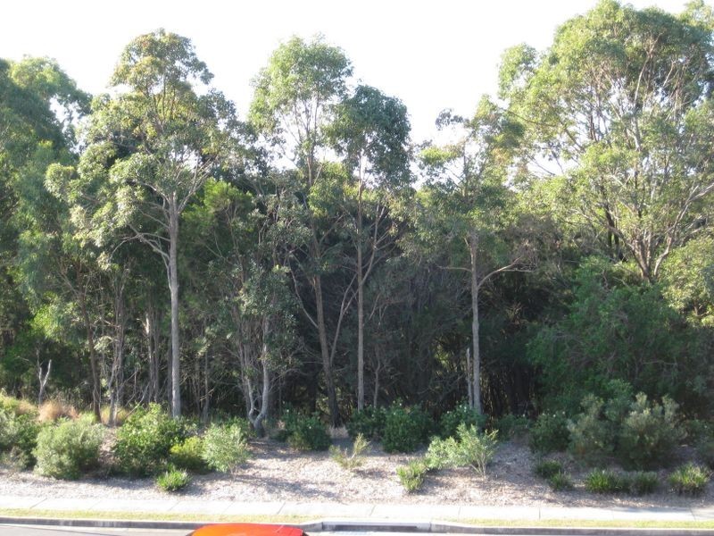5 Melia Close, Pottsville NSW 2489