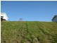 5 Melia Close, Pottsville NSW 2489
