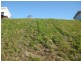 5 Melia Close, Pottsville NSW 2489