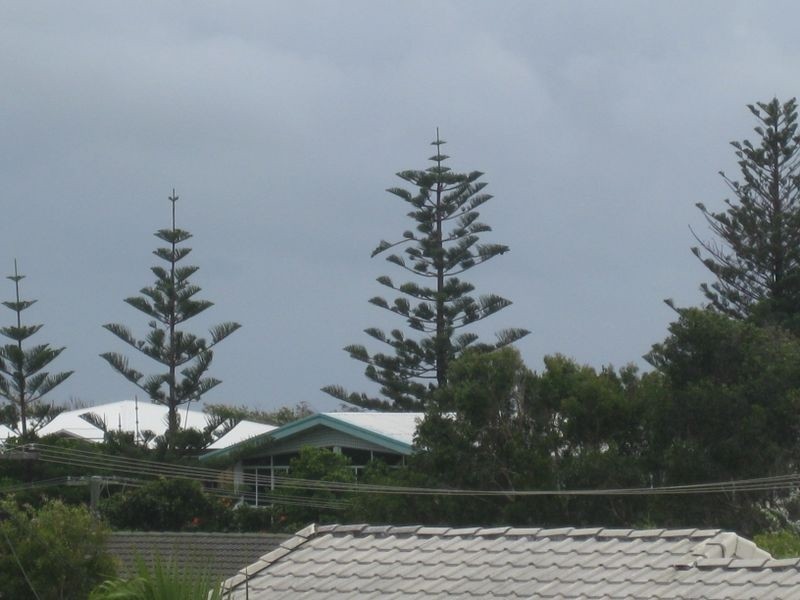 1/6 Elanora Avenue, Hastings Point NSW 2489