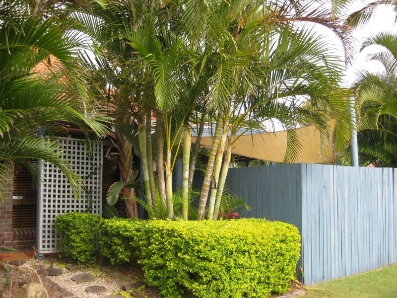 2 Poinciana Avenue, Cabarita Beach NSW 2488