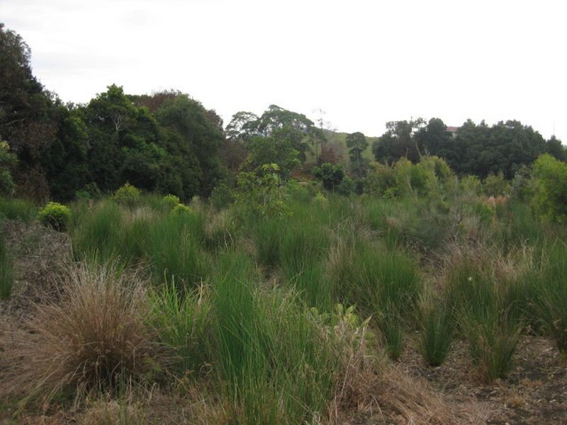 Lot 1208 Lennox Circuit, Pottsville NSW 2489