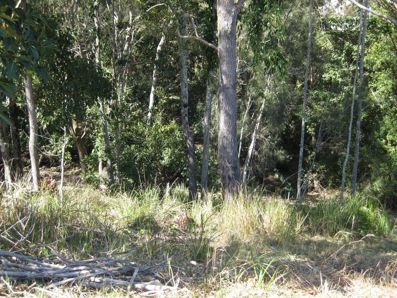 Lot 524 Marsupial Drive, Pottsville NSW 2489