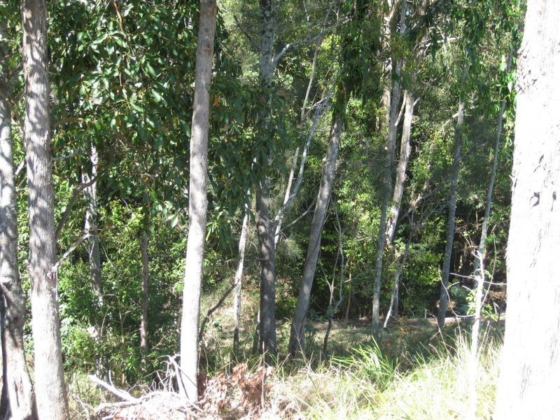 Lot 524 Marsupial Drive, Pottsville NSW 2489