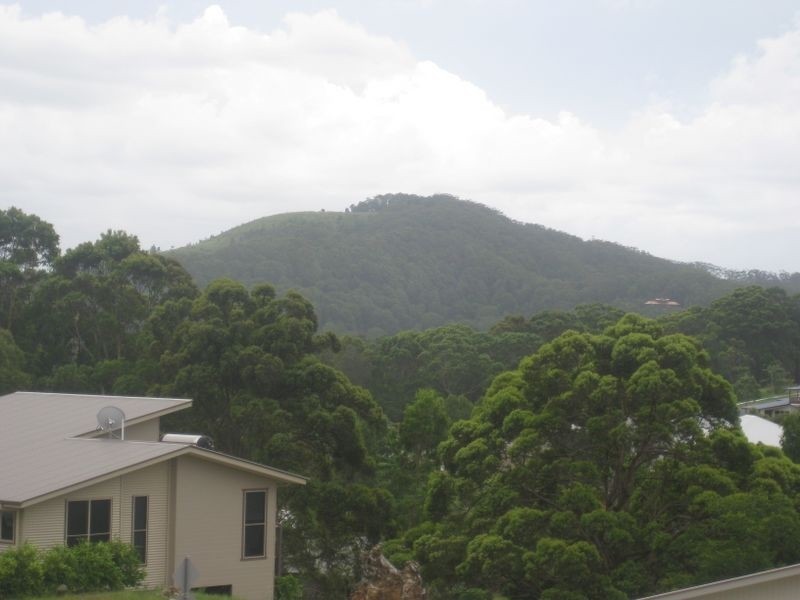 43 Sassafras Street, Pottsville NSW 2489