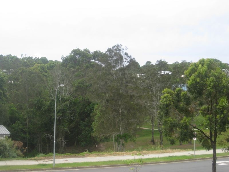 43 Sassafras Street, Pottsville NSW 2489