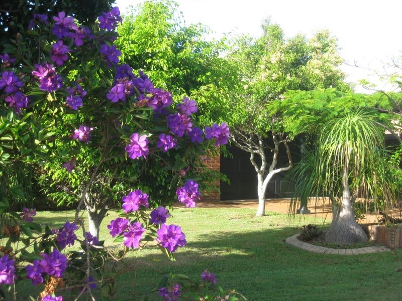 71 Andrew Avenue, Pottsville NSW 2489