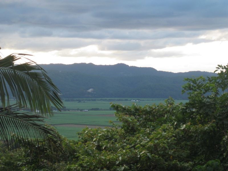 54 Marsupial Drive, Pottsville NSW 2489