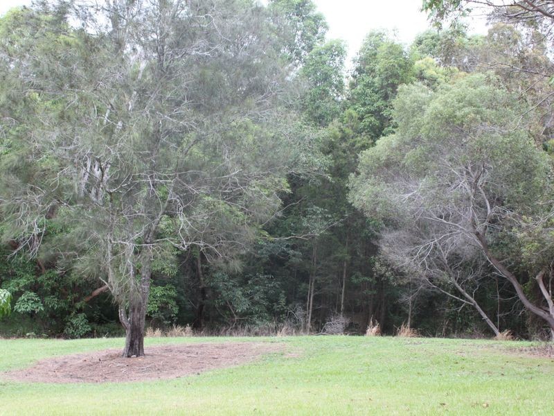 11 Sassafras Street, Pottsville NSW 2489