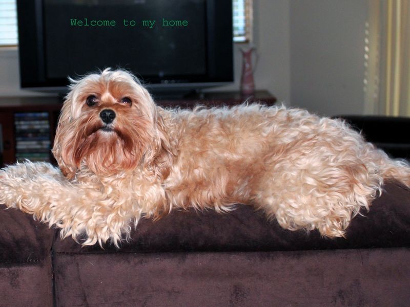 23/19-27 Elizabeth Street, Pottsville NSW 2489