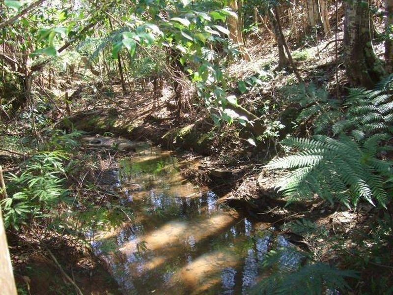 45 Greenvale Street, Burringbar NSW 2483