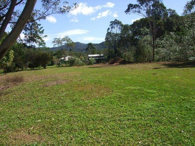45 Greenvale Street, Burringbar NSW 2483