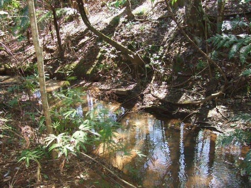 45 Greenvale Street, Burringbar NSW 2483