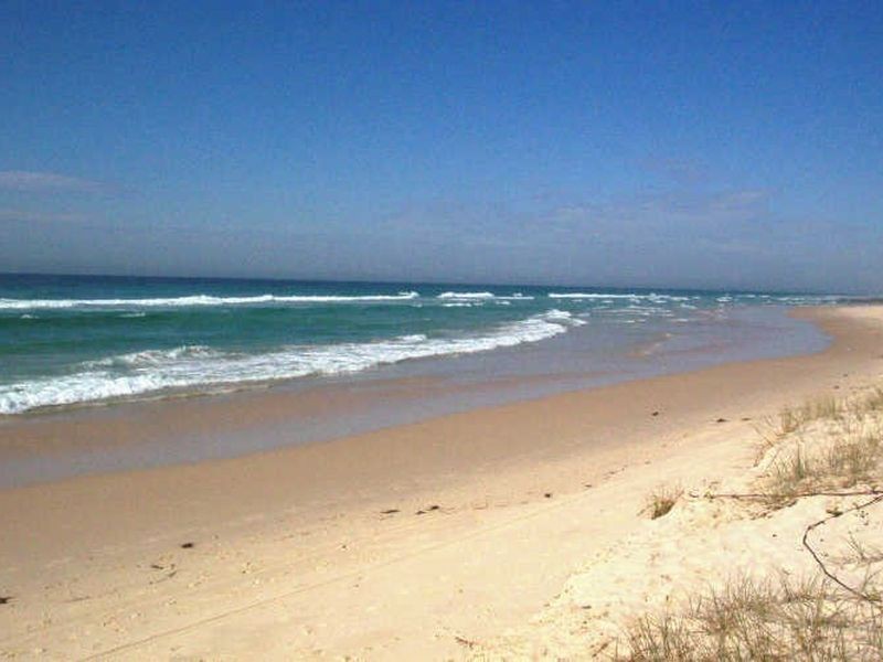 97 Elanora Avenue, Pottsville NSW 2489