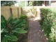 2/2 Mimosa Avenue, Cabarita Beach NSW 2488