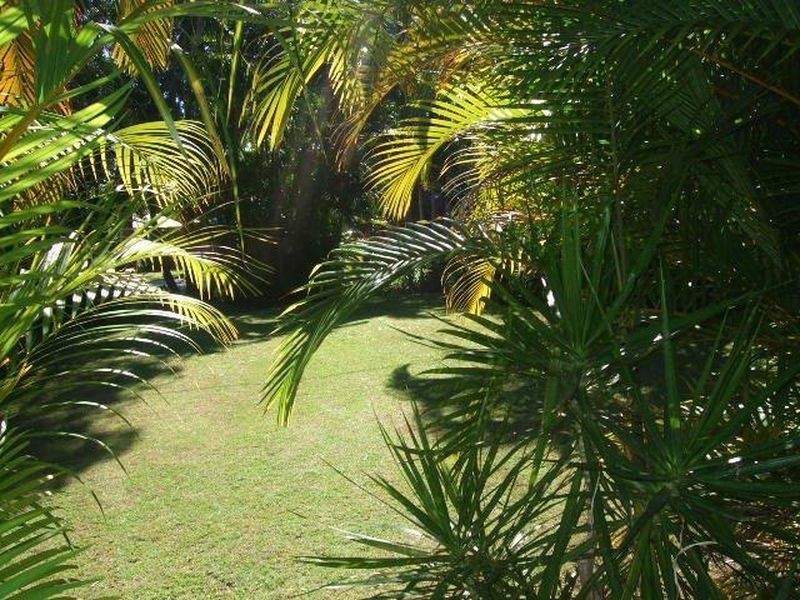 2/2 Mimosa Avenue, Cabarita Beach NSW 2488