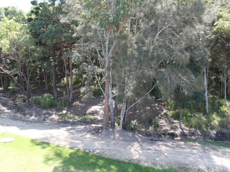 6 Silveraspen Grove, Pottsville NSW 2489