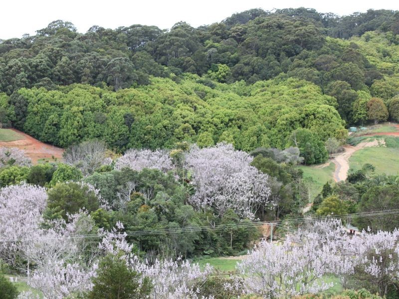 16 Hinchinbrook Road, Burringbar NSW 2483