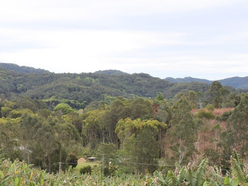 16 Hinchinbrook Road, Burringbar NSW 2483