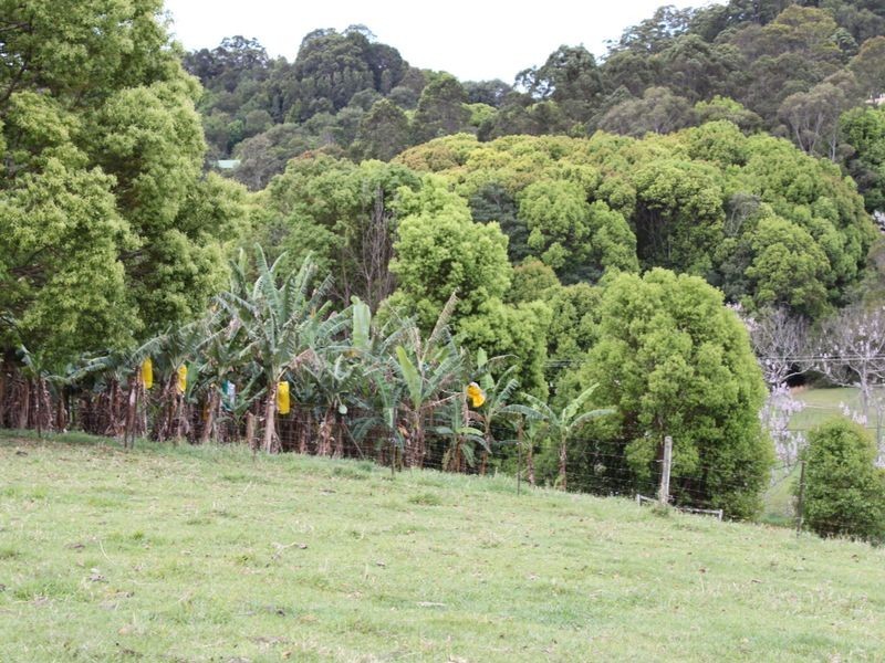 16 Hinchinbrook Road, Burringbar NSW 2483