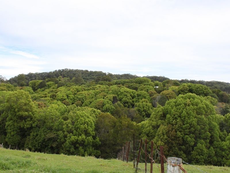 16 Hinchinbrook Road, Burringbar NSW 2483