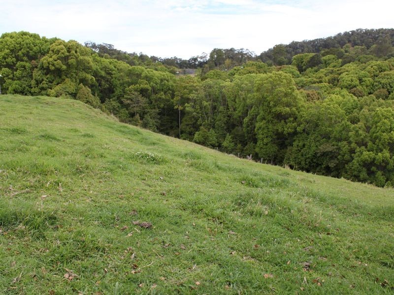 16 Hinchinbrook Road, Burringbar NSW 2483
