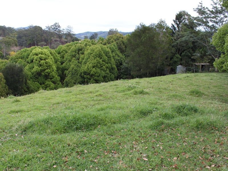 16 Hinchinbrook Road, Burringbar NSW 2483