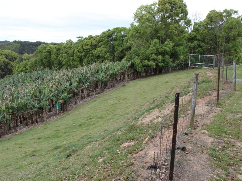16 Hinchinbrook Road, Burringbar NSW 2483