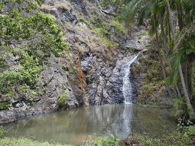 63 Cabbage Gum Road, Pottsville NSW 2489