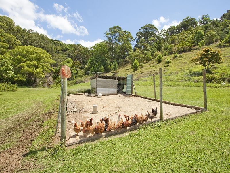 63 Cabbage Gum Road, Pottsville NSW 2489