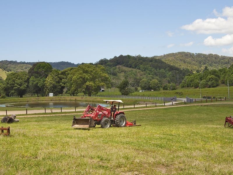 63 Cabbage Gum Road, Pottsville NSW 2489