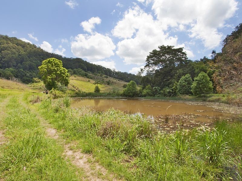 63 Cabbage Gum Road, Pottsville NSW 2489