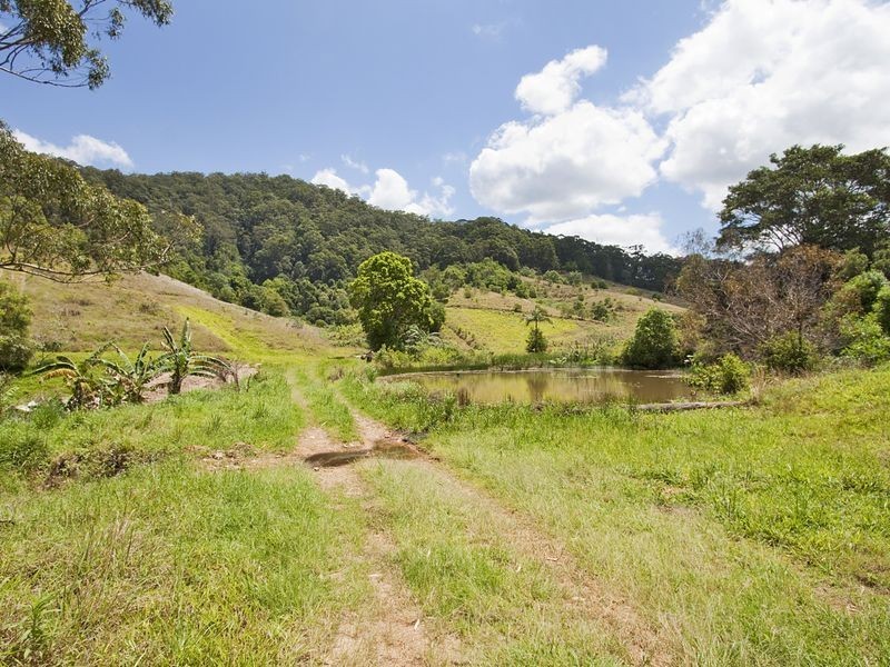 63 Cabbage Gum Road, Pottsville NSW 2489