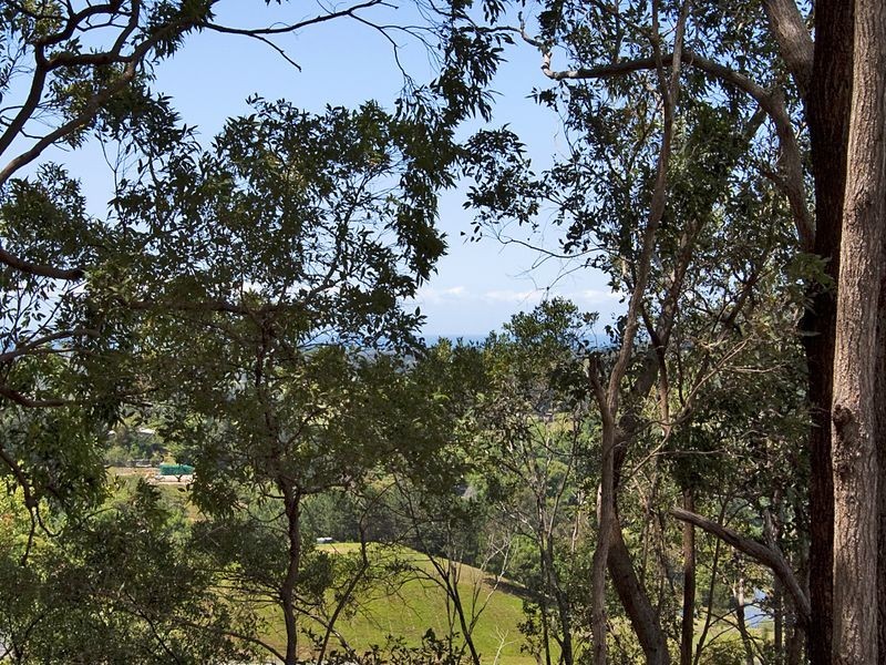 63 Cabbage Gum Road, Pottsville NSW 2489