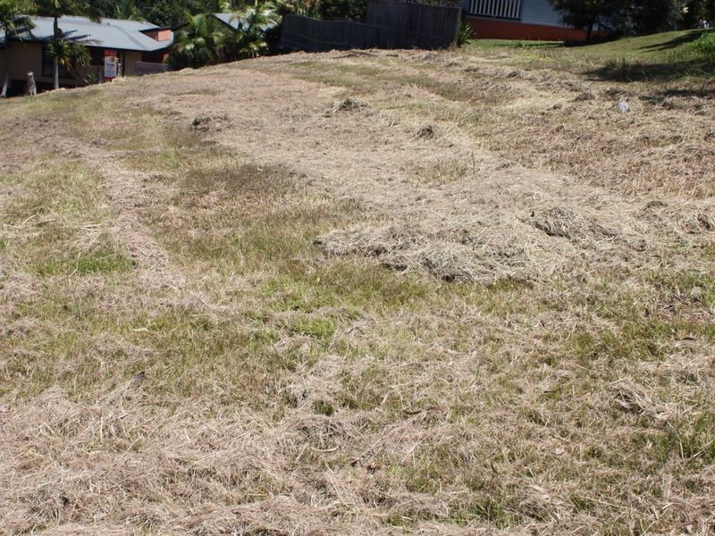 23 Flintwood Street, Pottsville NSW 2489