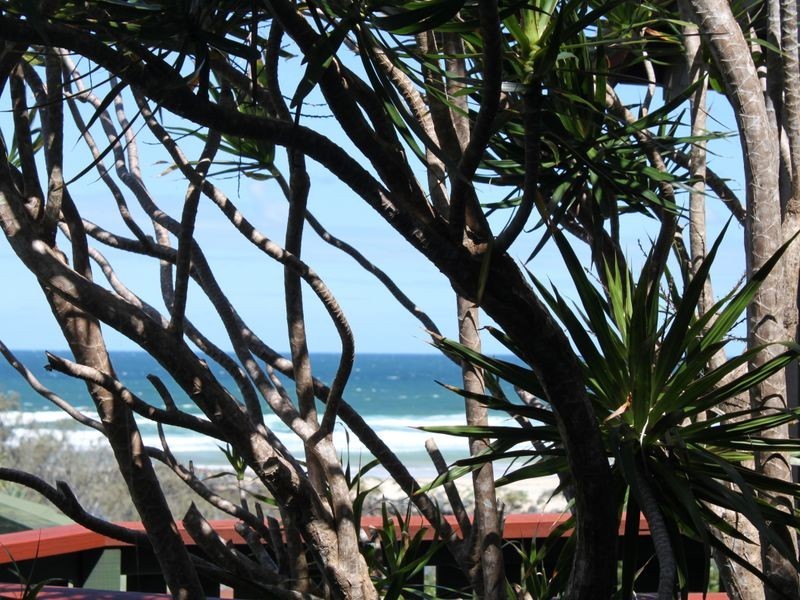 11 Elanora Avenue, Pottsville NSW 2489