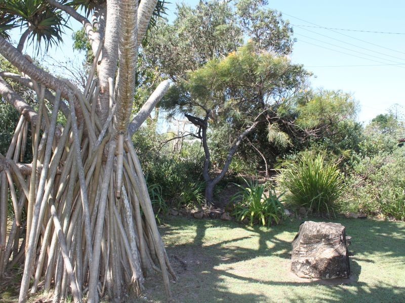 11 Elanora Avenue, Pottsville NSW 2489