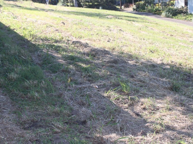 21 Flintwood Street, Pottsville NSW 2489