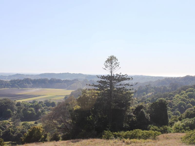 Lot 16 Farrants Road, Farrants Hill NSW 2484