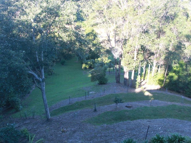 Lot 6 Wallum Court, Cabarita Beach NSW 2488