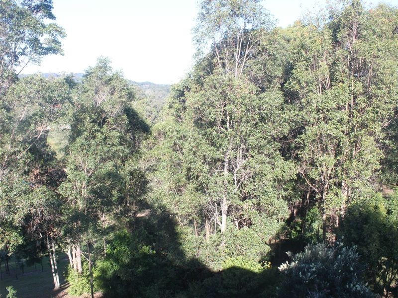 Lot 6 Wallum Court, Cabarita Beach NSW 2488